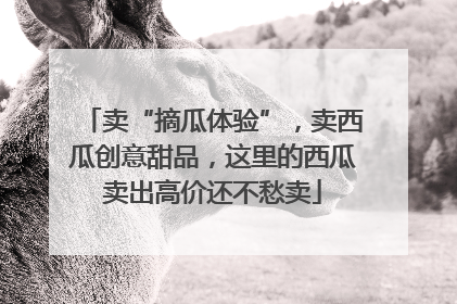 卖“摘瓜体验”，卖西瓜创意甜品，这里的西瓜卖出高价还不愁卖
