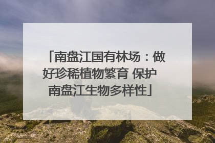 南盘江国有林场：做好珍稀植物繁育 保护南盘江生物多样性