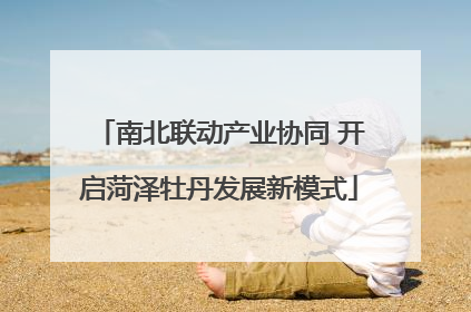 南北联动产业协同 开启菏泽牡丹发展新模式