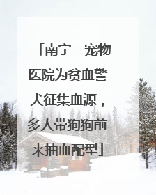 南宁一宠物医院为贫血警犬征集血源，多人带狗狗前来抽血配型