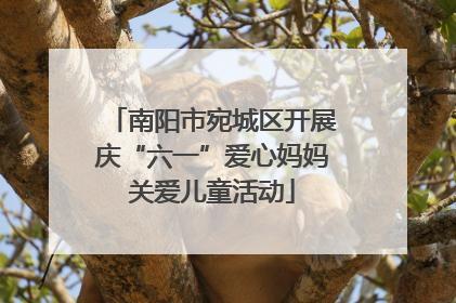 南阳市宛城区开展庆“六一”爱心妈妈关爱儿童活动
