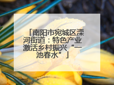 南阳市宛城区溧河街道：特色产业激活乡村振兴“一池春水”