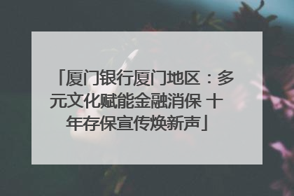 厦门银行厦门地区：多元文化赋能金融消保 十年存保宣传焕新声