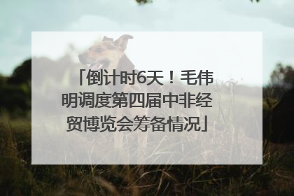 倒计时6天！毛伟明调度第四届中非经贸博览会筹备情况