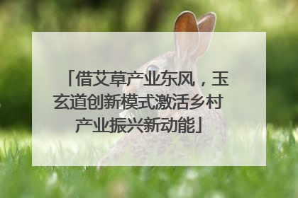 借艾草产业东风，玉玄道创新模式激活乡村产业振兴新动能