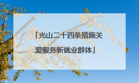 光山二十四条措施关爱服务新就业群体