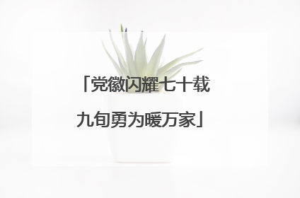 党徽闪耀七十载 九旬勇为暖万家