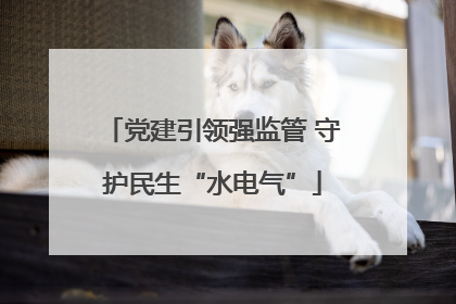 党建引领强监管 守护民生“水电气”