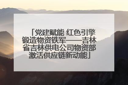 党建赋能 红色引擎锻造物资铁军——吉林省吉林供电公司物资部激活供应链新动能