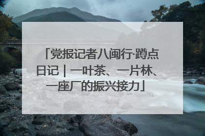 党报记者八闽行·蹲点日记｜一叶茶、一片林、一座厂的振兴接力