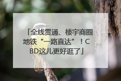 全线贯通、楼宇商圈地铁“一路直达”！CBD这儿更好逛了