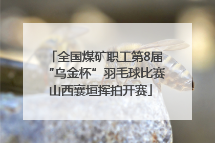 全国煤矿职工第8届“乌金杯”羽毛球比赛山西襄垣挥拍开赛