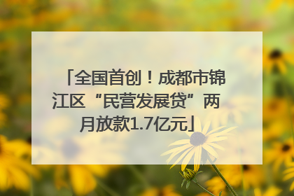 全国首创！成都市锦江区“民营发展贷”两月放款1.7亿元