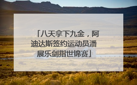 八天拿下九金，阿迪达斯签约运动员潘展乐剑指世锦赛