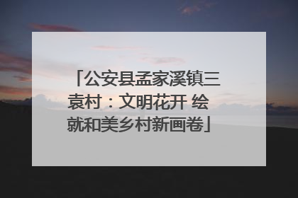 公安县孟家溪镇三袁村：文明花开 绘就和美乡村新画卷