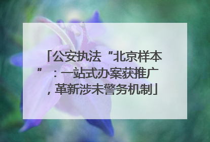 公安执法“北京样本”：一站式办案获推广，革新涉未警务机制