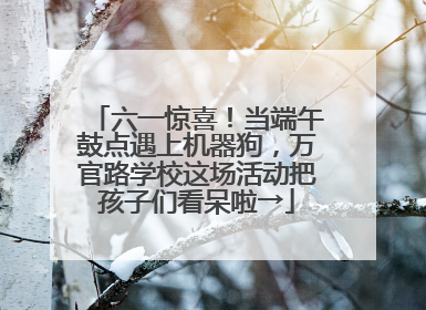 六一惊喜！当端午鼓点遇上机器狗，万官路学校这场活动把孩子们看呆啦→