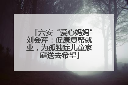 六安“爱心妈妈”刘会芹：促康复帮就业，为孤独症儿童家庭送去希望