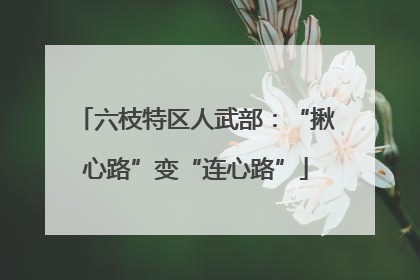 六枝特区人武部：“揪心路”变“连心路”