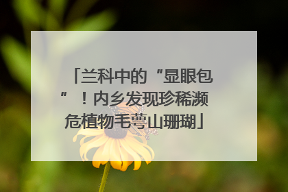 兰科中的“显眼包”！内乡发现珍稀濒危植物毛萼山珊瑚