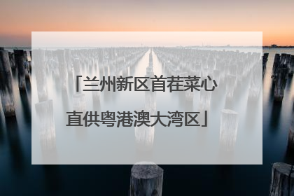 兰州新区首茬菜心直供粤港澳大湾区