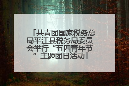 共青团国家税务总局平江县税务局委员会举行“五四青年节”主题团日活动