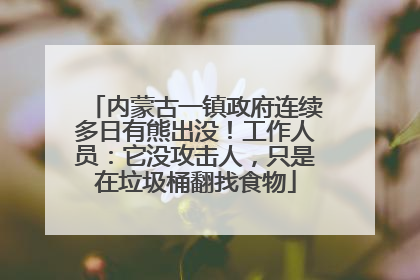 内蒙古一镇政府连续多日有熊出没！工作人员：它没攻击人，只是在垃圾桶翻找食物