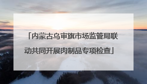 内蒙古乌审旗市场监管局联动共同开展肉制品专项检查