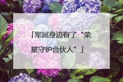 军属身边有了“荣耀守护合伙人”