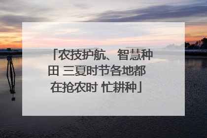 农技护航、智慧种田 三夏时节各地都在抢农时 忙耕种