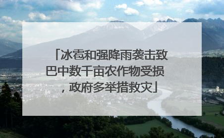 冰雹和强降雨袭击致巴中数千亩农作物受损，政府多举措救灾