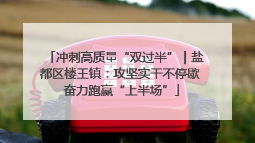 冲刺高质量“双过半”｜盐都区楼王镇：攻坚实干不停歇 奋力跑赢“上半场”