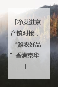 净菜进京产销对接，“潍农好品”香满京华