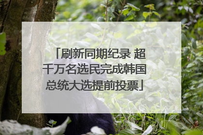 刷新同期纪录 超千万名选民完成韩国总统大选提前投票