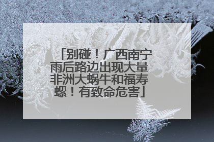 别碰！广西南宁雨后路边出现大量非洲大蜗牛和福寿螺！有致命危害
