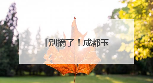 别摘了！成都玉石公园管理方提醒：杨梅可能残留农药，勿采摘食用