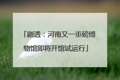 剧透：河南又一重磅博物馆即将开馆试运行