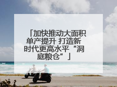 加快推动大面积单产提升 打造新时代更高水平“洞庭粮仓”