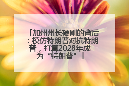 加州州长硬刚的背后：模仿特朗普对抗特朗普，打算2028年成为“特朗普”