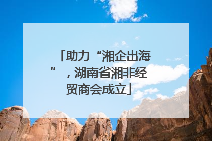 助力“湘企出海”，湖南省湘非经贸商会成立