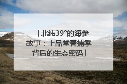 北纬39°的海参故事：上品堂春捕季背后的生态密码