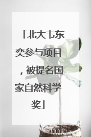 北大韦东奕参与项目，被提名国家自然科学奖