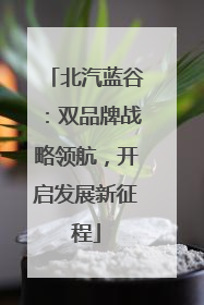 北汽蓝谷：双品牌战略领航，开启发展新征程