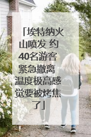 埃特纳火山喷发 约40名游客紧急撤离 温度极高感觉要被烤焦了