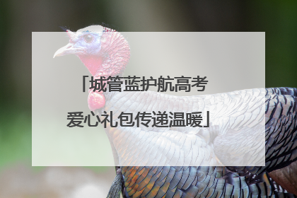 城管蓝护航高考 爱心礼包传递温暖