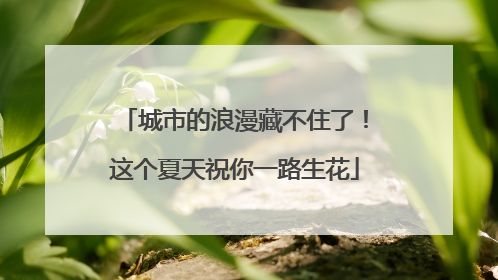 城市的浪漫藏不住了！这个夏天祝你一路生花