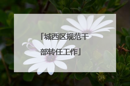 城西区规范干部转任工作