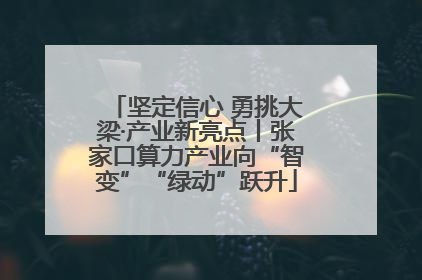 坚定信心 勇挑大梁·产业新亮点丨张家口算力产业向“智变”“绿动”跃升