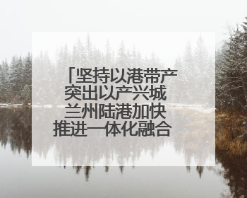 坚持以港带产 突出以产兴城 兰州陆港加快推进一体化融合高质量发展