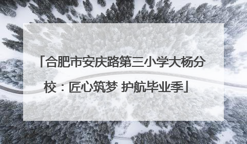 合肥市安庆路第三小学大杨分校：匠心筑梦 护航毕业季